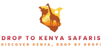  Drop to Kenya